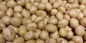 Fresh Potato
