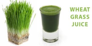 Aloe Vera Wheatgrass Juice