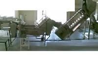 Mango Processing System