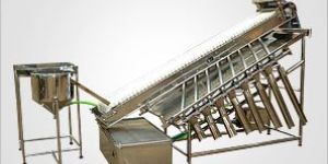 Shrimp Processing Systems