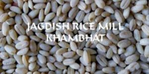 Harees Whole (Hulled Wheat)