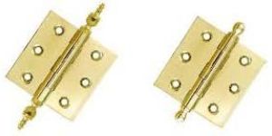 Brass Hinges