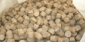 Bio Mass Briquettes