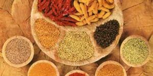 Indian Spices