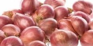 Fresh Small Red Onion