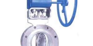 Butterfly Valve