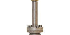 Cryogenic Globe Valve