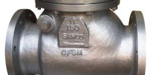 Swing Check Valve