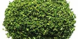 Dehydrated Green Pepper