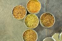 Seed Spices