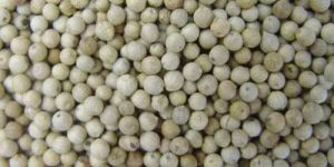 White Pepper