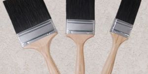 Indian Bristle Paint Brush