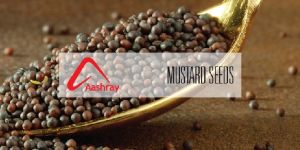 Mustard Seeds