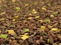 Dental Care Stick Pet Food