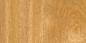 Wood Veneer DV-01