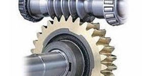 Worm Wheel Gear
