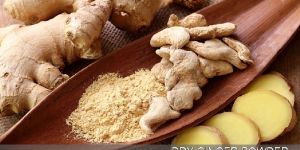 Dry Ginger Powder