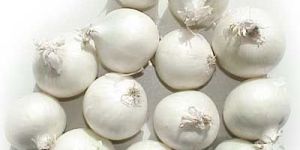 White Onion