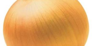 Yellow Onion