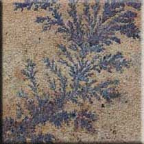 Fossil Mint Sandstone