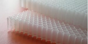 Polypropylene Honeycomb Panels