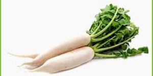 Fresh Radish