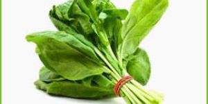 Fresh Spinach