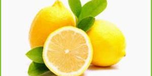 Fresh Yellow Lemon