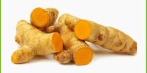 Turmeric Roots