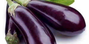 Fresh Brinjal
