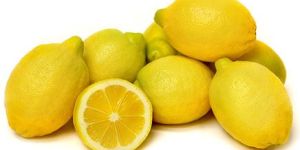 Fresh Lemon