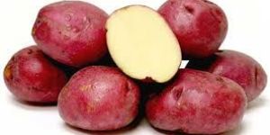 Red Potato