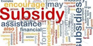 Capital Subsidy Services