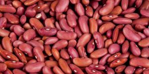 Red Kidney Beans