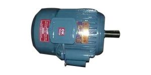 AC Induction Motor