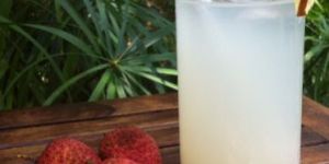 Sugar Free Lychee Sharbat