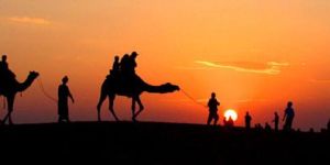 Tour Booking in Rajasthan