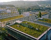Green Roofs