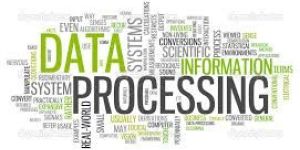 Data Processing Services