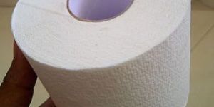 Toilet Roll 100 Sheet