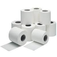 Toilet Tissue Paper Roll 350 Sheet