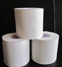 Toilet Tissue Roll 250 Sheet