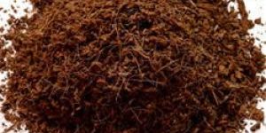 Coir Pith