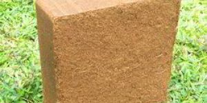 Coir Pith Block