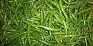 Fresh Green Chilli