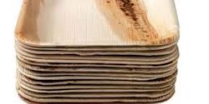 Square Areca Leaf Plates