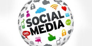 Search Engine Management