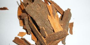 Cassia Bark
