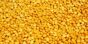 Chana Dal