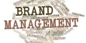 Brand Management Services